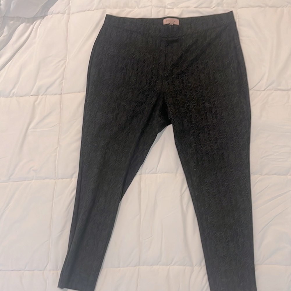 Philosophy Pants